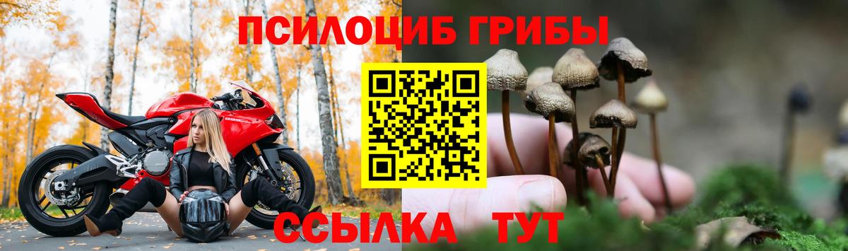 Галлюциногенные грибы прущие грибы Междуреченск